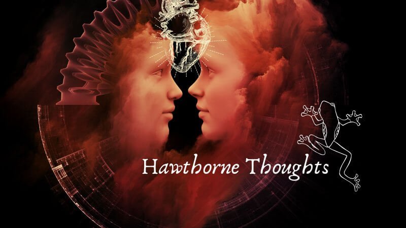 Hawthorne Thoughts - Crimson Bright Apothecary