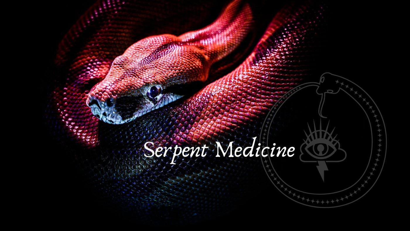 Serpent Medicine – Crimson Bright Apothecary