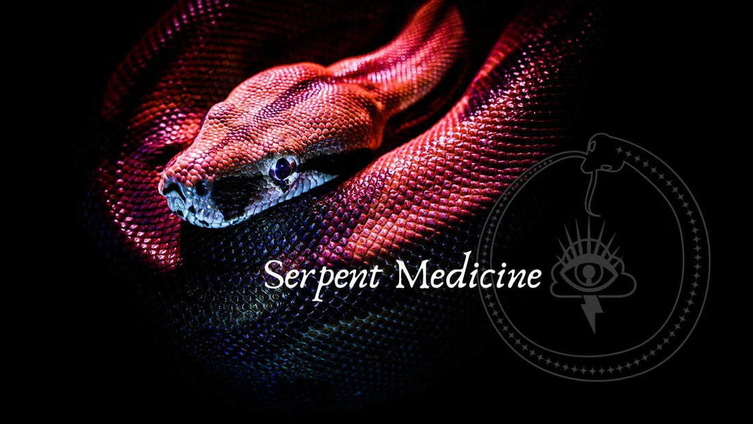 Serpent Medicine - Crimson Bright Apothecary