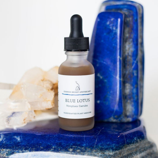 Blue Lotus (Nymphaea Caerulea) Double - Extracted Tincture - Crimson Bright Apothecary